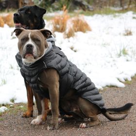 Alpine Extreme Cold Puffer Coat (Color/Design: Black)