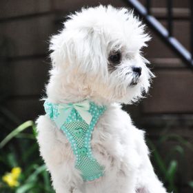 American River Choke Free Dog Harness Polka Dot Collection (Color/Design: Teal)