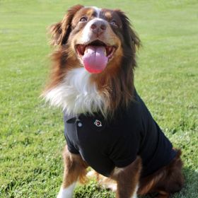 Solid and Striped Dog Polo (Color/Design: Black)